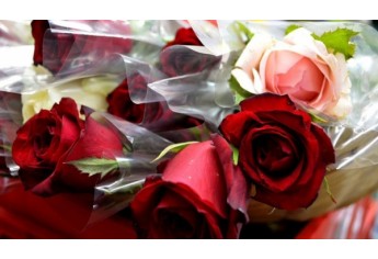 Mulheres foram homenageadas com flores e música ao vivo, na manhã de hoje, no Supermercado Godoy (Foto: Acácio Rocha).