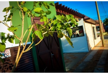 Mosconi Bar: novo espaço com petiscaria, porções, serviço de restaurante e bebidas nacionais e importadas (Foto: Acácio Rocha).