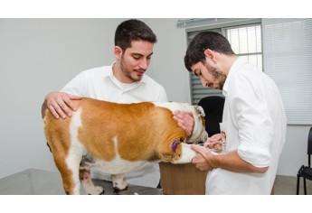 Instituto de Especialidades Veterinárias e parceiros realizam ações de conscientização e prevenção contra leishmaniose, em Adamantina (Foto: Fernando Sato/Coruja Comunicação).
