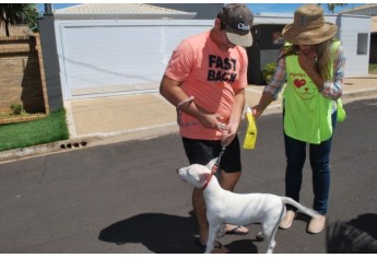 Parque das Nações promove Parada Animal