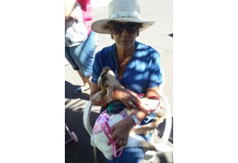 Parque das Nações promove Parada Animal