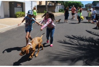 Parque das Nações promove Parada Animal