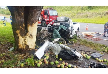 Motorista perde controle de carro, que choca-se contra uma árvore, às margens da SP-294. Condutor era morador em Pompéia e morreu no local do acidente (Foto: João Mário Trentini).