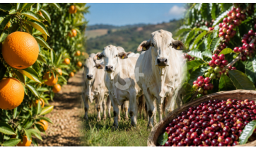 Encontro regional em Adamantina debate inovação e desafios do agronegócio