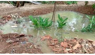 Vazamento de esgoto atinge área de vegetação entre Jardim Primavera e Parque Itaipus