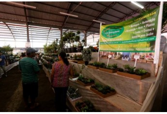 Foto: Divulgação/ExpoVerde