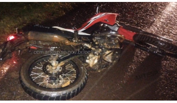 Motociclista de 20 anos morre após atropelar bovino em acesso à SP-294, em Tupi Paulista