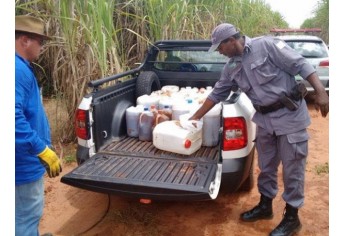 Galões foram encontrados em canavial, no bairro Lagoa Seca, em Adamantina (Foto: Polícia Ambiental/Cedida).