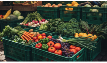 Adamantina abre chamada pública de R$ 472 mil para adquirir alimentos da agricultura familiar