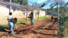 Começa o plantio de mudas do projeto Hortas Urbanas no bairro Mário Covas II em Adamantina