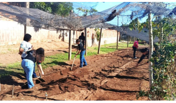 Começa o plantio de mudas do projeto Hortas Urbanas no bairro Mário Covas II em Adamantina