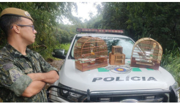 (Cedida/PM Ambiental).