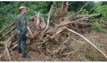 Proprietário rural em Osvaldo Cruz é multado em R$ 4,6 mil por desmatamento