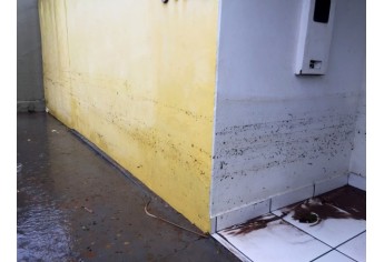 Sede do Conselho Tutelar volta a ser invadida com enchente