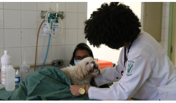 Com investimento de R$ 2 milhões, Prefeitura de Tupã anuncia hospital veterinário municipal