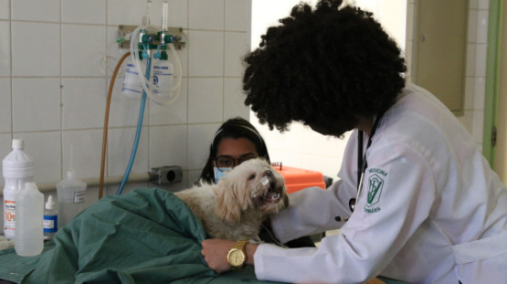 Com investimento de R$ 2 milhões, Prefeitura de Tupã anuncia hospital veterinário municipal