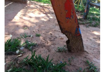 Na praça Euclydes Romanini (Praça dos Patos), comprometimento parcial da madeira que suporta um dos brinquedos (Foto: Siga Mais em 29/08/2017).