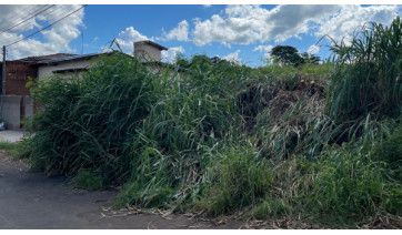 Prefeitura de Adamantina já notificou quase mil proprietários de terrenos