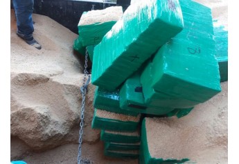 Mais de 11 toneladas de maconha em meio à carga de farelo de soja foram apreendidas pela Polícia Federal (Foto: Cedida/PF).