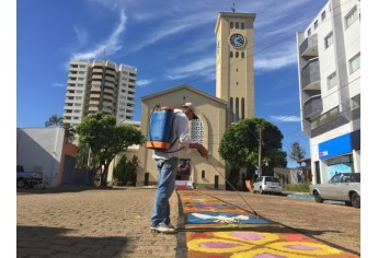 Decoração tradicional nas procissões de Corpus Christi é realizada nas proximidades da Igreja Matriz de Santo Antônio (Foto: Siga Mais).