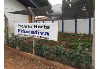 Horta Educativa foi implantada na Emef Eurico Leite de Moraes (Foto: Siga Mais).Estudantes realizam atividades teóricas e práticas com o cultivo de horta (Foto: Cedida).