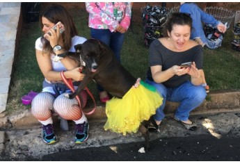Parque das Nações promove Parada Animal