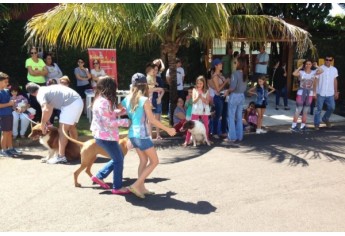 Parque das Nações promove Parada Animal