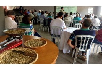 Café Robusta é apresentado como alternativa econômica para a Nova Alta Paulista