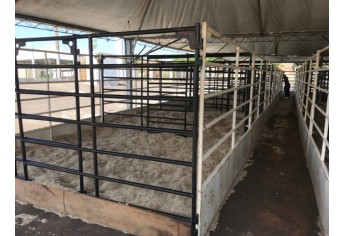 Recito Poliesportivo recebe estrutura para a ExpoVerde 2018 (Foto: Siga Mais).