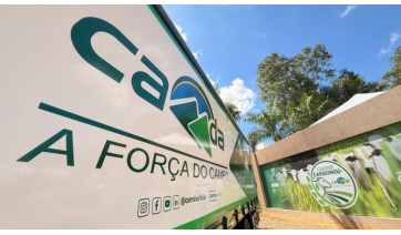  Camda: 61 anos de progresso sólido 