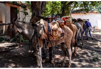 (Foto: Acácio Rocha/Siga Mais).