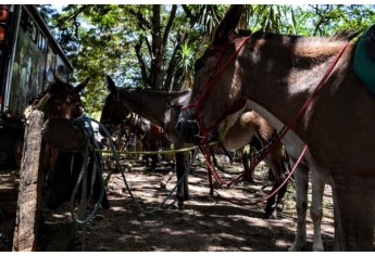 (Foto: Acácio Rocha/Siga Mais).