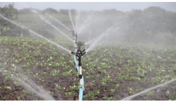 Energisa convoca aquicultores e irrigantes para atualizarem cadastro e manter redução na tarifa