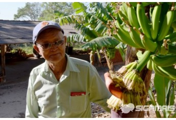 Produtor rural Hiroshi Karimata vai receber título de Cidadão Adamantinense