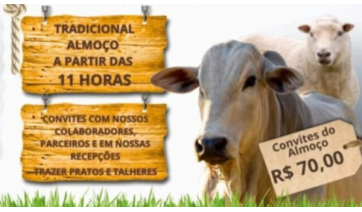 No domingo (12), Santa Casa de Adamantina promove leilão de gado e almoço beneficentes