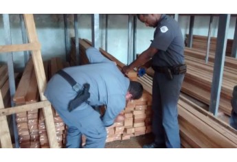 Três endereços de madeireira do mesmo proprietário foram alvo de fiscalização pela Polícia Ambiental em Dracena e Junqueirópolis (Foto: Cedida/Polícia Ambiental).