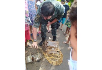 PM Ambiental e estudantes fazem interação com animais e soltura de pássaros em Mariápolis