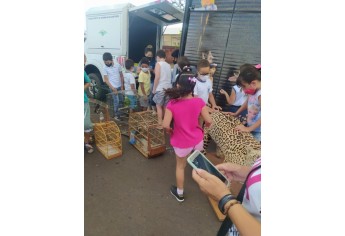 PM Ambiental e estudantes fazem interao com animais e soltura de pssaros em Maripolis
