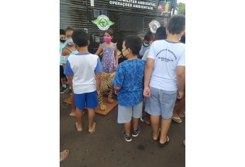 PM Ambiental e estudantes fazem interação com animais e soltura de pássaros em Mariápolis