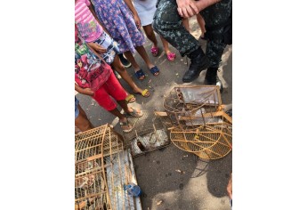 PM Ambiental e estudantes fazem interação com animais e soltura de pássaros em Mariápolis