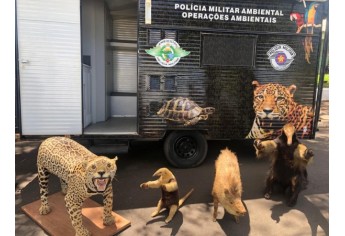 PM Ambiental e estudantes fazem interação com animais e soltura de pássaros em Mariápolis