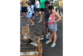 PM Ambiental e estudantes fazem interação com animais e soltura de pássaros em Mariápolis