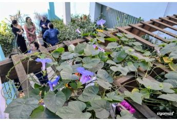 Studio Naiara Costa completa dois anos de atendimentos em Lucélia