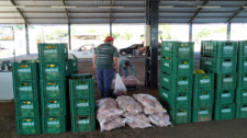 Adamantina adquire produção de agricultores locais e repassa para 12 entidades do município 