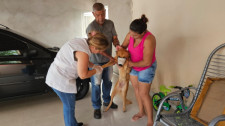 Em Mariápolis, programa de encoleiramento em cães reduz positividade de leishmaniose na cidade