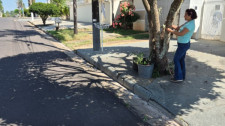 Levantamento em Adamantina e Tupã avalia reflexos da arborização no conforto térmico das cidades