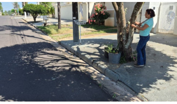 Levantamento em Adamantina e Tupã avalia reflexos da arborização no conforto térmico das cidades