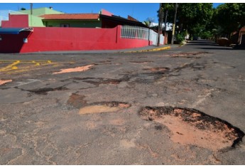 Jardim das Palmeiras / Parque dos Pioneiros (Foto: Acácio Rocha).