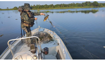 Piracema começa neste domingo (1) e impõe restrições à pesca nos rios da região