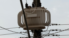 Pombas provocam desligamento da rede elétrica e entorno fica sem energia no centro de Adamantina 